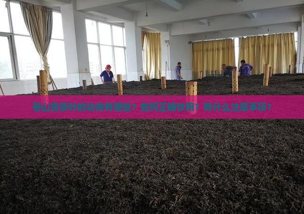 苍山雪茶叶功效