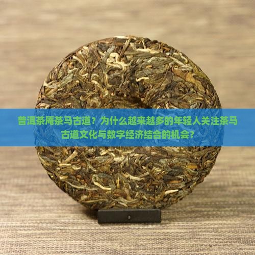 普洱茶庵茶马古道