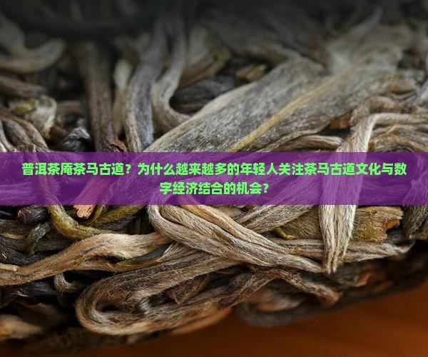 普洱茶庵茶马古道