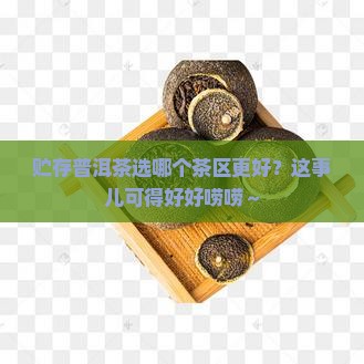 贮存哪个茶区的普洱茶较好