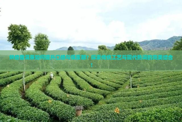 烘培普洱茶效果怎么样