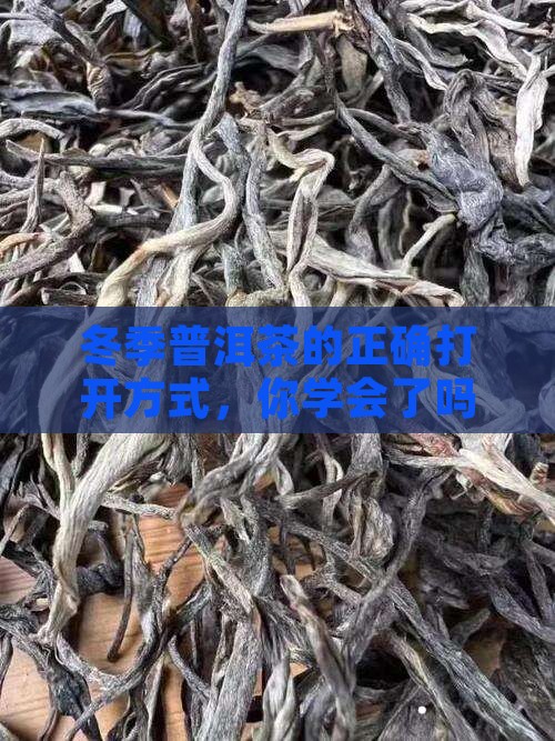 普洱茶冬天怎么放
