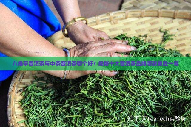 八角亭和中茶普洱茶哪款好