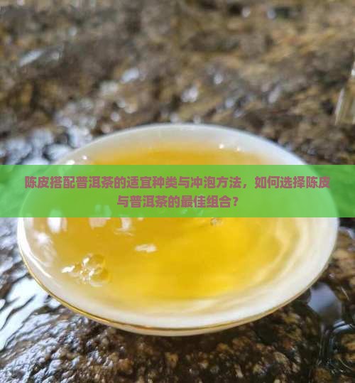 陈皮适合配什么普洱茶
