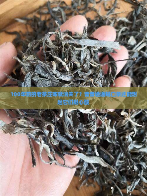 消失的普洱茶老字号