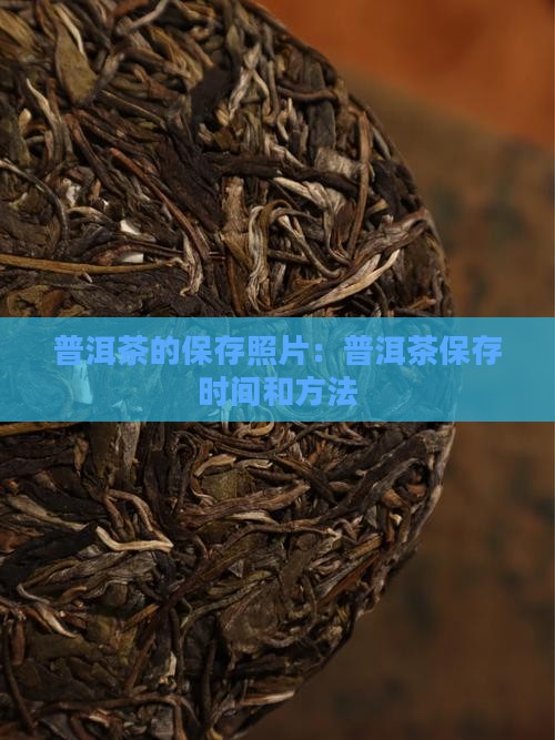 普洱茶的保存照片