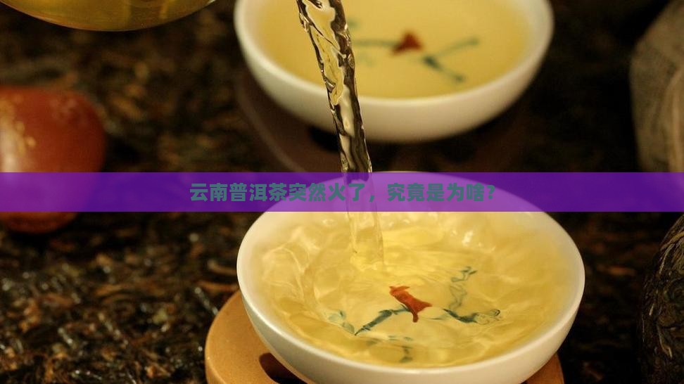 云南普洱茶为什么火了