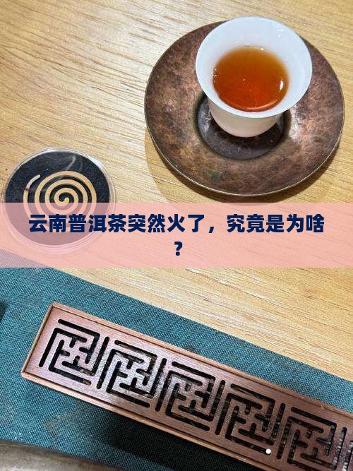云南普洱茶为什么火了