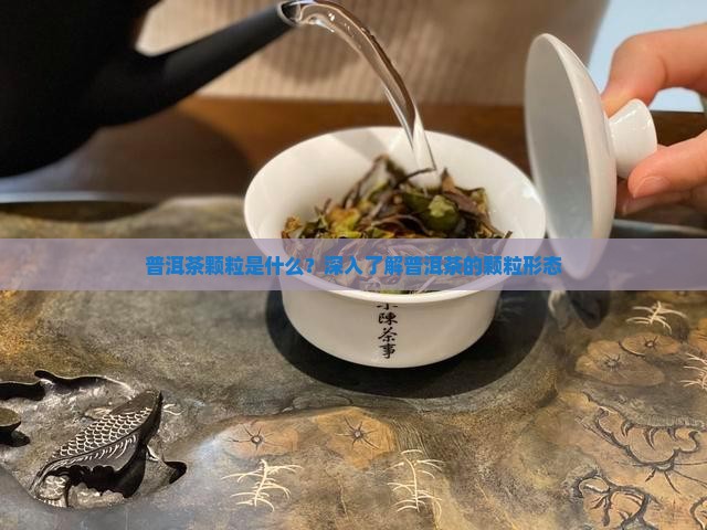 普洱茶颗粒是什么东西