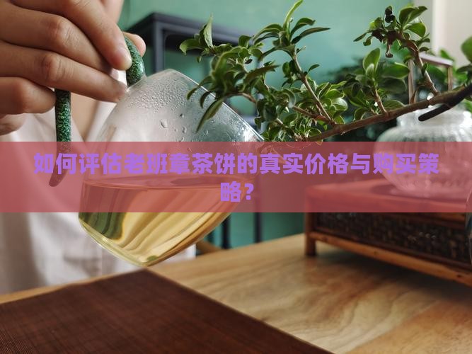 茶饼购买藏老班章价格 茶饼购买藏老班章价格