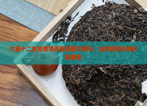 大益十二生肖普洱茶整套