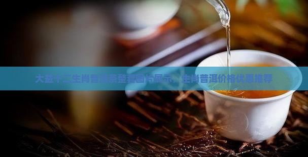 大益十二生肖普洱茶整套