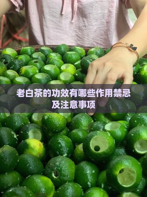 老白茶的功效有哪些 老白茶的功效有哪些