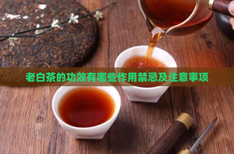 老白茶的功效有哪些 老白茶的功效有哪些