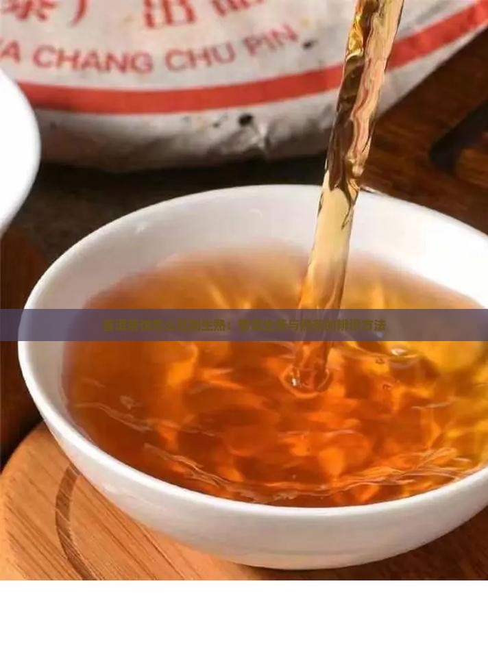 普洱茶饼生熟怎么分 普洱茶饼生熟怎么分