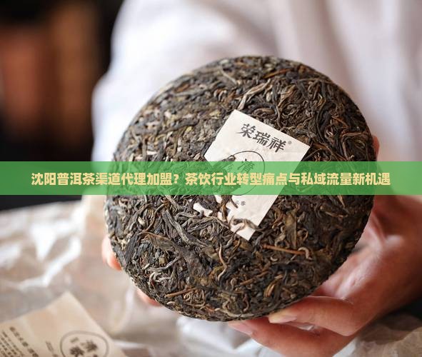 沈阳普洱茶渠道代理加盟 沈阳普洱茶渠道代理加盟