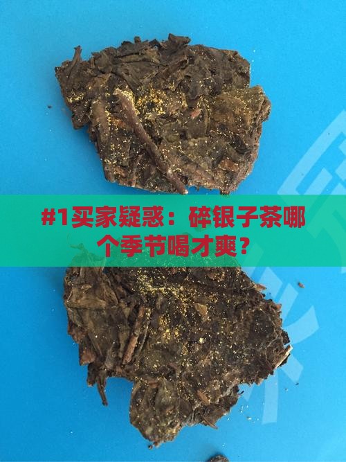 碎银子茶什么季节喝好一点 碎银子茶什么季节喝好一点