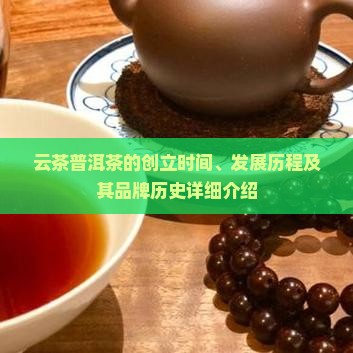 云茶普洱茶什么时候成立