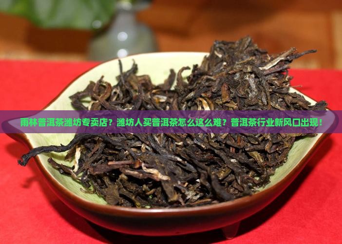 雨林普洱茶潍坊专卖店