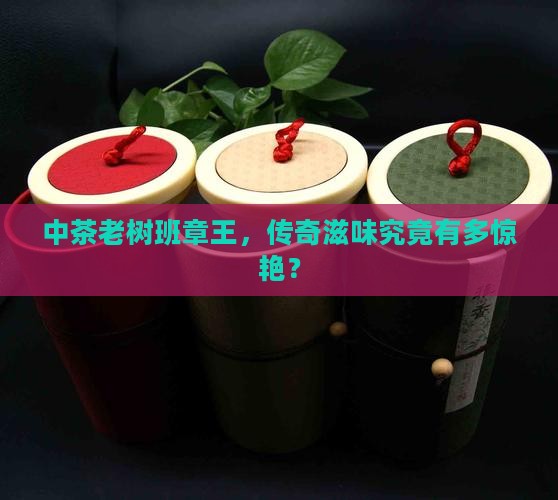 中茶老树班章王