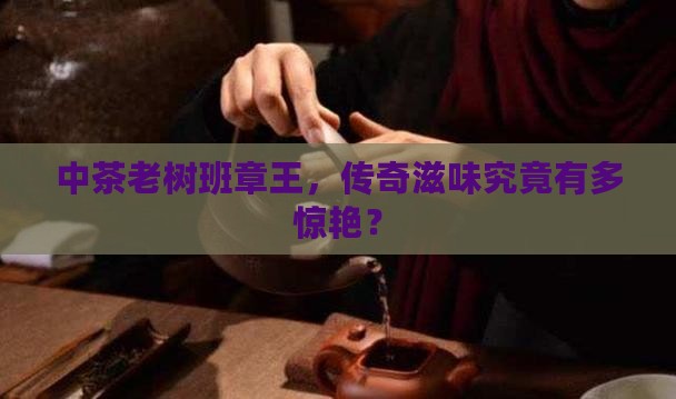 中茶老树班章王