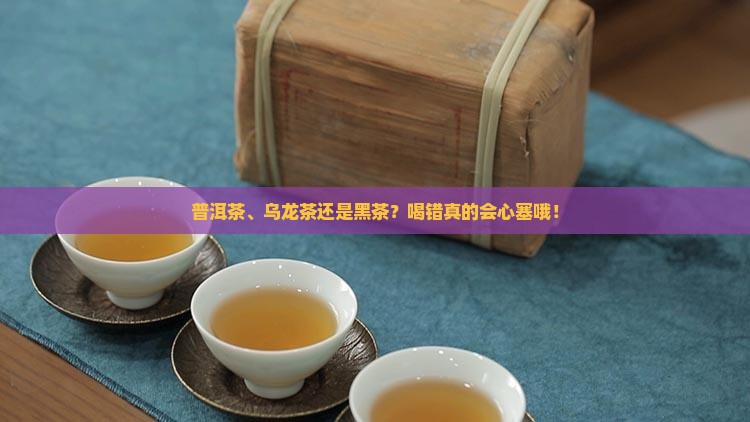 普洱茶乌龙茶还是黑茶