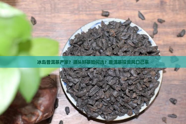 冰岛普洱茶产家