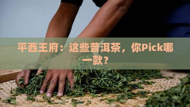 平西王府各款普洱茶