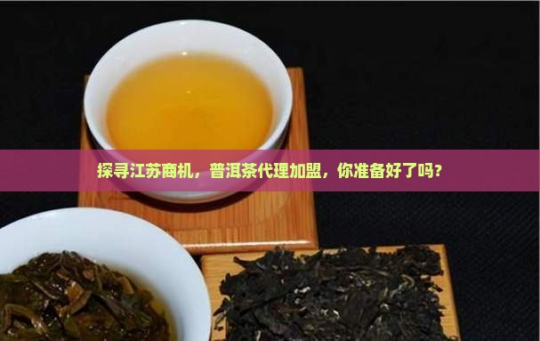 江苏普洱茶招商代理加盟