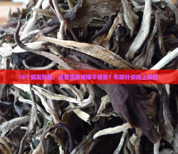 布朗针是普洱茶