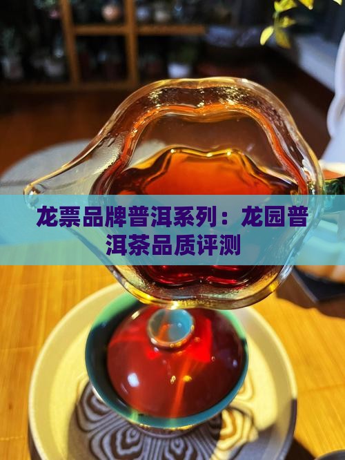 龙票号普洱茶怎么样