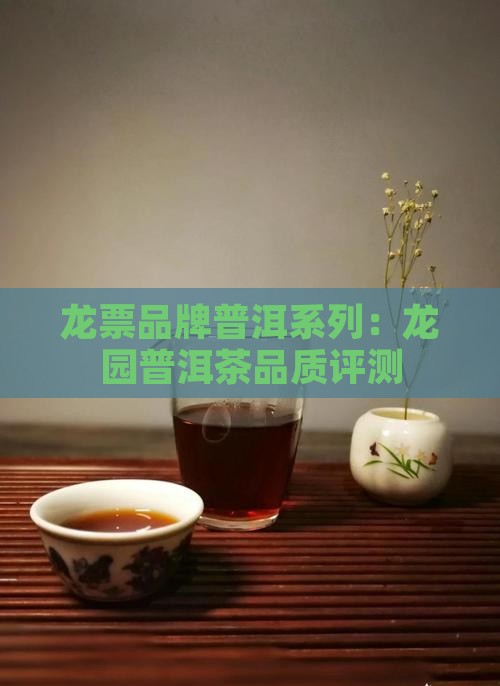 龙票号普洱茶怎么样