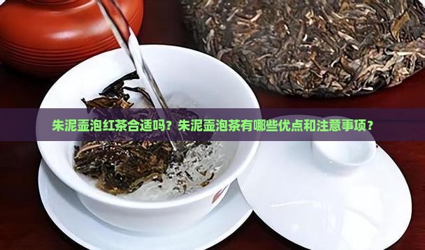 朱泥壶泡红茶合适吗