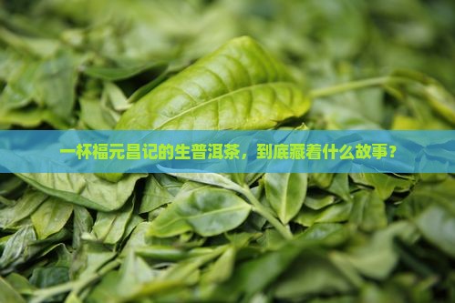 福元昌记生普洱茶