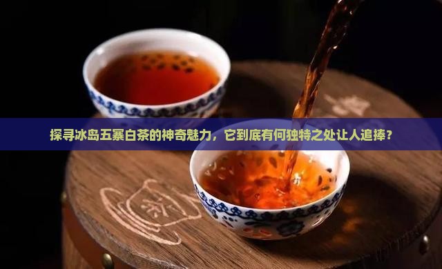 冰岛五寨白茶特点 冰岛五寨白茶特点