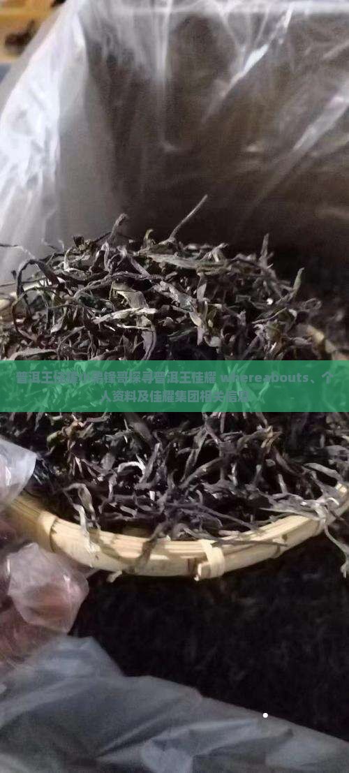 普洱王佳耀小弟锋哥