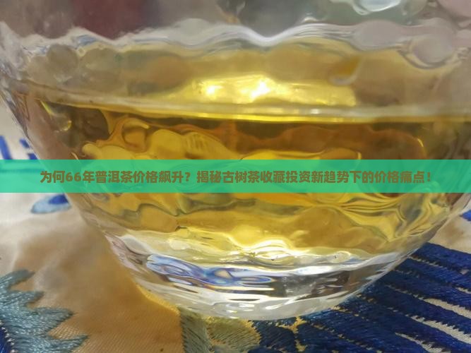 66年的普洱茶价格表