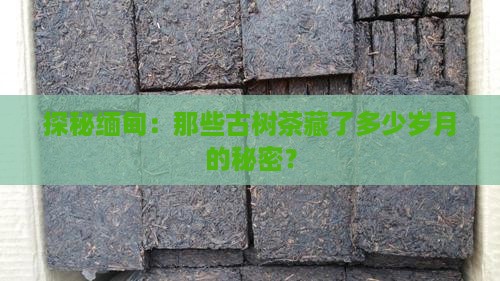 缅甸古树茶怎么样