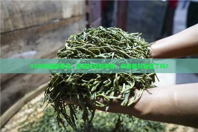 92年出口罐装普洱茶
