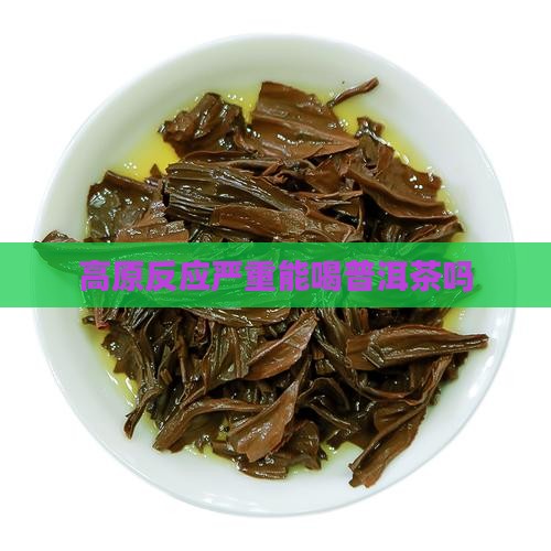 在拉萨高反能喝普洱茶吗