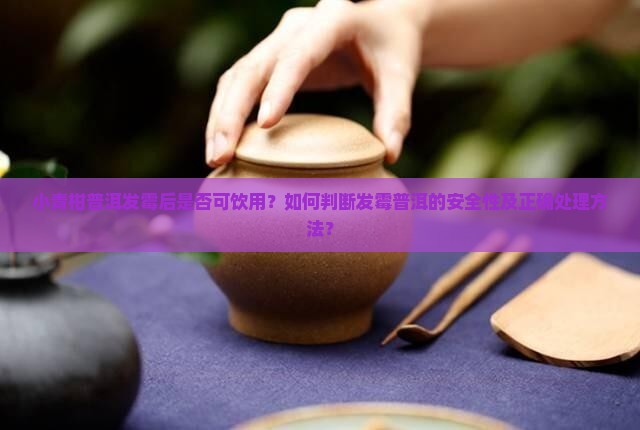 小青柑普洱发霉了还能喝吗 小青柑普洱发霉了还能喝吗