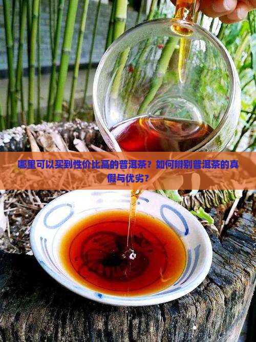 普洱茶哪里买性价比高