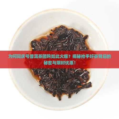 同庆号普洱茶团购 同庆号普洱茶团购