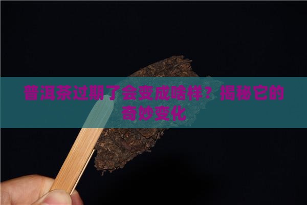 普洱茶过期了什么样子
