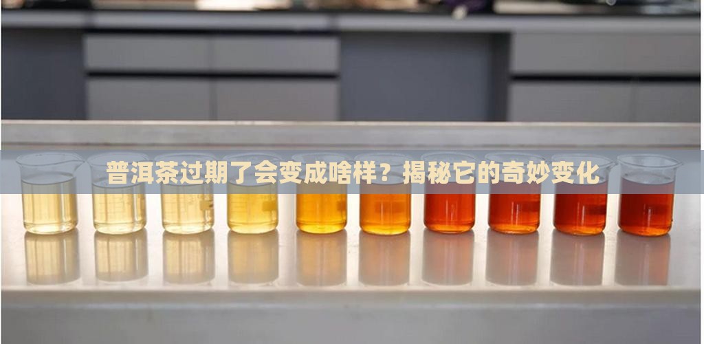 普洱茶过期了什么样子