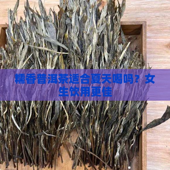 糯香普洱茶适合夏天喝吗