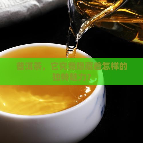 普洱茶的定义是什么