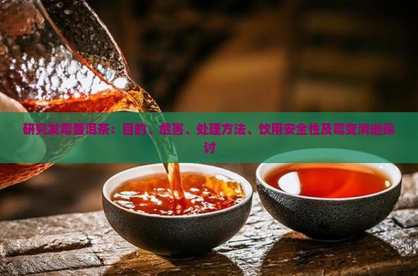 研究发霉普洱茶