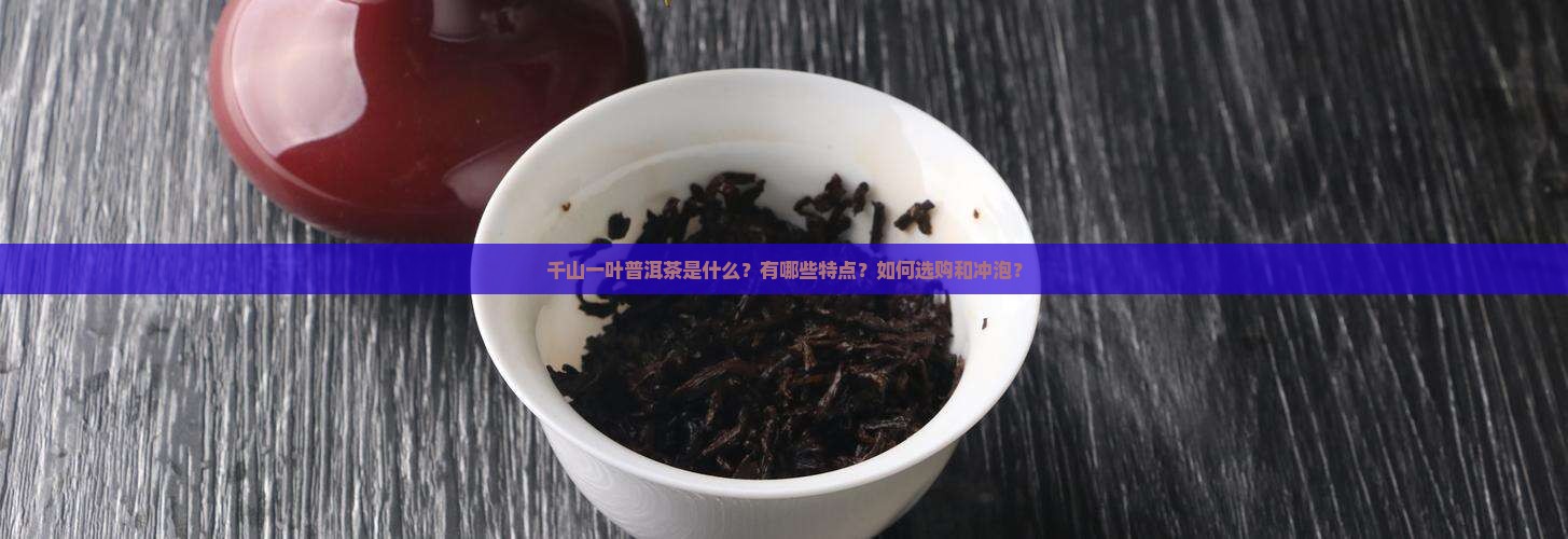 千山一叶普洱茶 千山一叶普洱茶