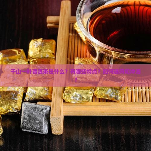 千山一叶普洱茶 千山一叶普洱茶